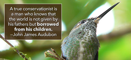 Audubon_Image.jpg