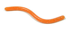 Orange-trout-worms2.jpg
