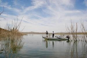 Alamo Lake Arizona Photo By Margie Anderson