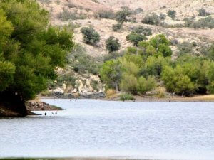 Arivaca Lake Photo Courtesy Of Margie Anderson