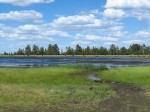 Carnero Lake