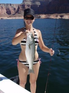 Lake Powell Stripers