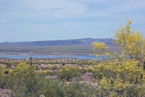 Alamo Lake In Spring Photo Courtesy Of Margie Anderson