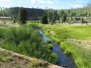 Black River East Fork