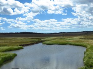 Black River East Fork