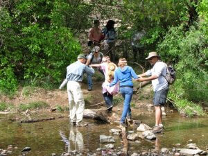 Cave Creek At Spur Cross - Photo Courtesy Of Margie Anderson