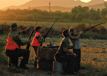 Dove Season 2011