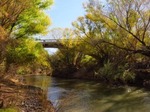 Gila River - Photo Courtesy Of Margie Anderson