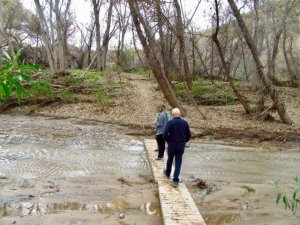 Hassayampa River - Photo Courtesy Of Margie Anderson