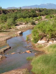 Salt River Four Peaks - Photo Courtesy Of Margie Anderson