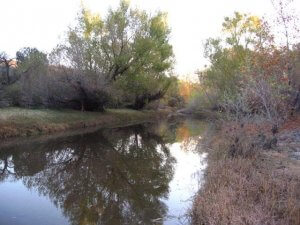 Sycamore Creek - Photo Courtesy Of Margie Anderson