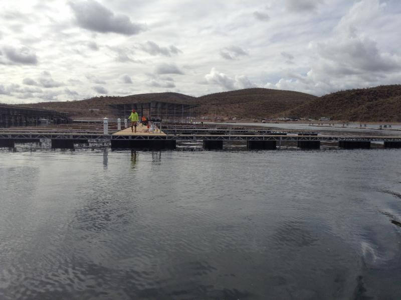 Scorpion Bay Marina's New Dock E