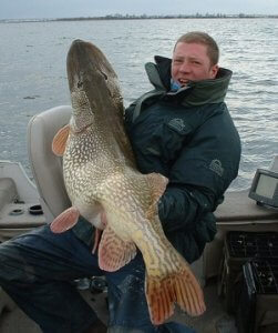 Monster Pike