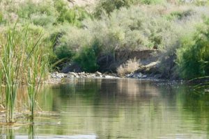 AZ Lakes, AZ Pros We ‘Found’ Hidden Lake With Matt Shura