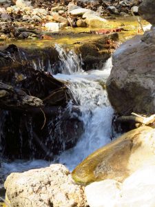 Ramsey Canyon Preserve