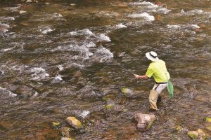 Arizona Free Fishing