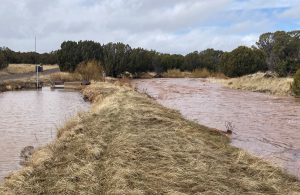 Silver Creek 'Catch-And-Keep'